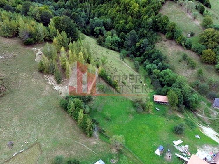Teren de investiție în Moieciu, lângă Castelul Bran – 11.381 mp, vedere Bucegi
