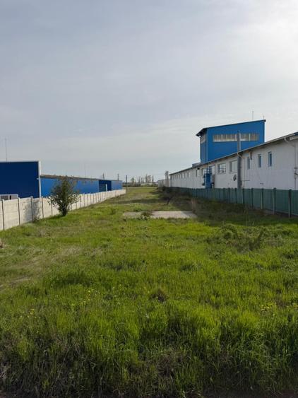 Teren de vânzare în zona Malu Mare, 5000mp ,front stradal 20m
