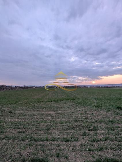 TEREN INTRAVILAN IN LILIECI, BACAU