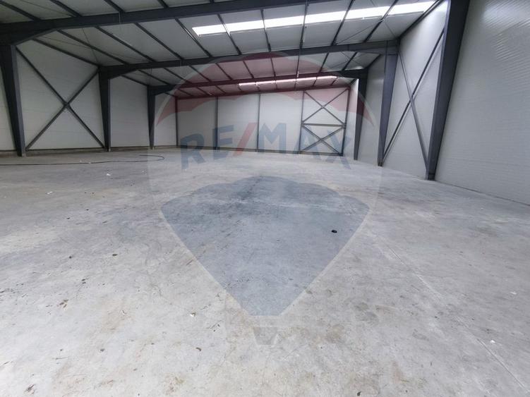 Spatiu industrial 600 mp inchiriere in Hală, Depozit Afumati Doraly