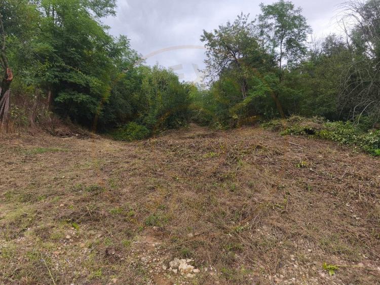 Teren 2552 mp, panorama superba Mosoaia Hintesti -Strada  Basangesti