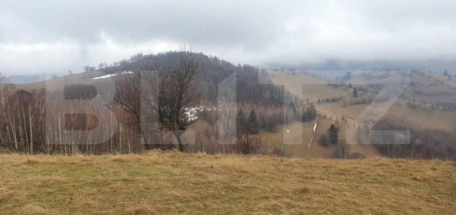 Teren 9648 mp, priveliste superba, Poiana Marului!