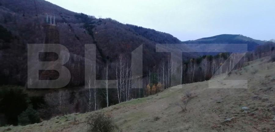 Teren 14 ha compact langa Lacul Tau Bistra