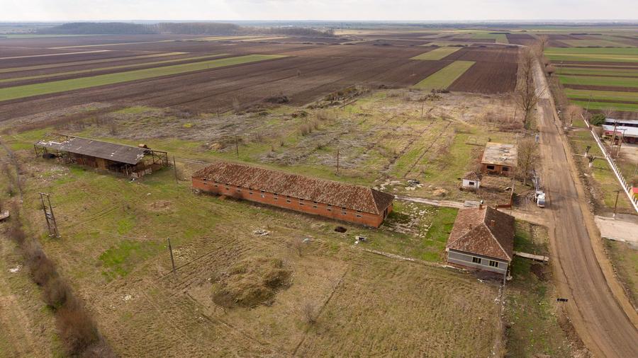 Fermă cu teren intravilan de 35000 mp în Mișca