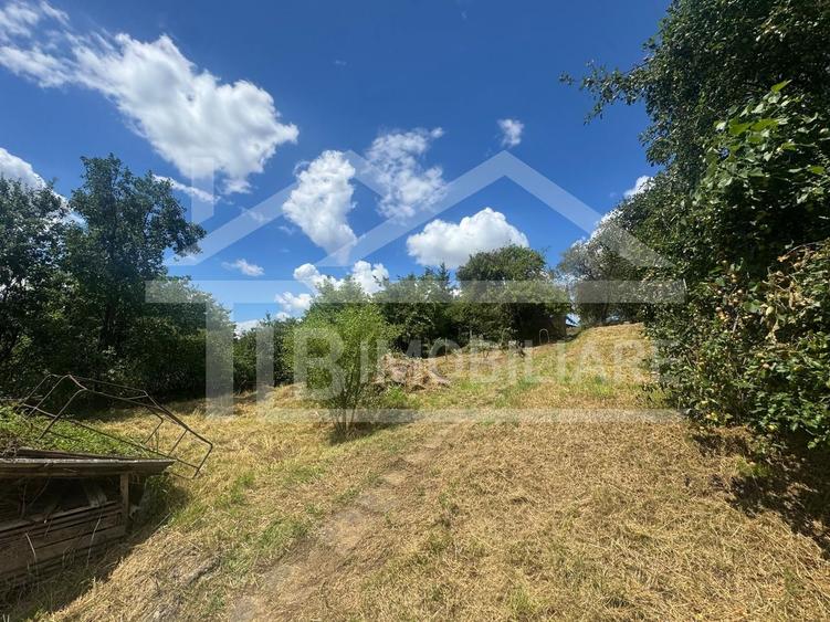 Casa cu 3 camere, 2300mp teren, zona SubPadure