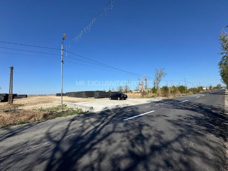 Teren extravilan de vânzare – Căteasca, Argeș | 27.201 mp | Deschidere 58,55 m - 9