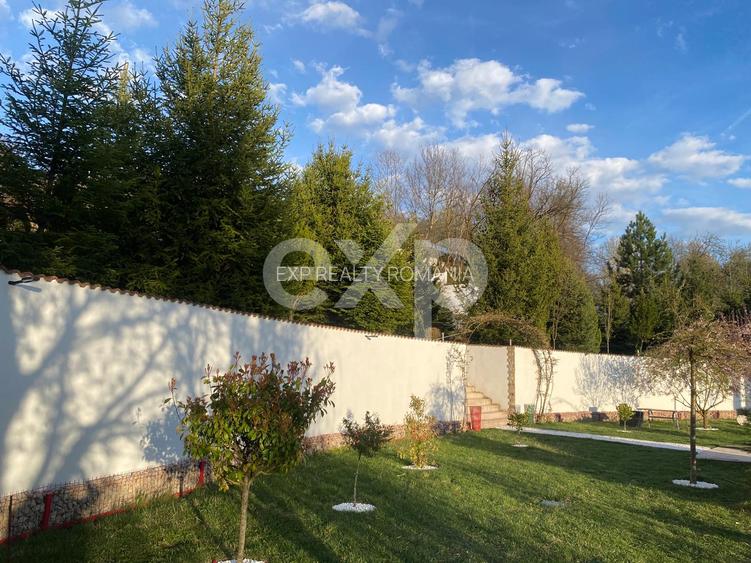 Domeniu de vanzare, Baile Govora(Pausesti-Otasau) cu teren de 20875mp - 6