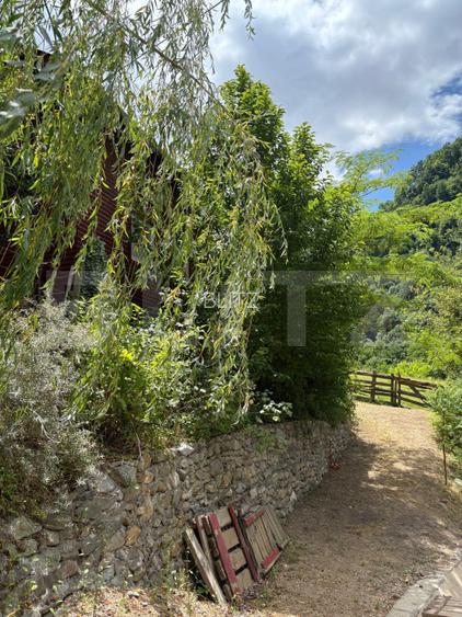 Casa de vacanta cu 4 camere, 1470 mp teren, Sugag - 11