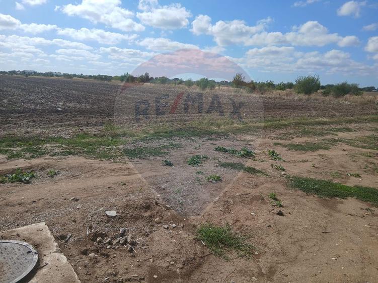 Teren de vanzare 4500mp Strada Rasaritului Darvari Ciorogarla A0
