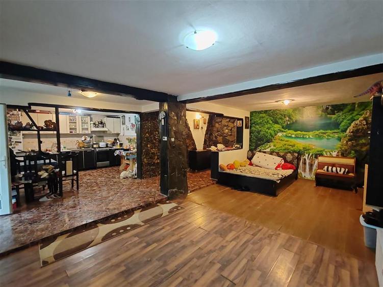 Casa de vanzare Iasi - Cantemir