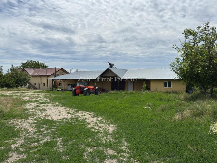 Ferma- spatiu comercial de vânzare Vitanesti -Teleorman - 5
