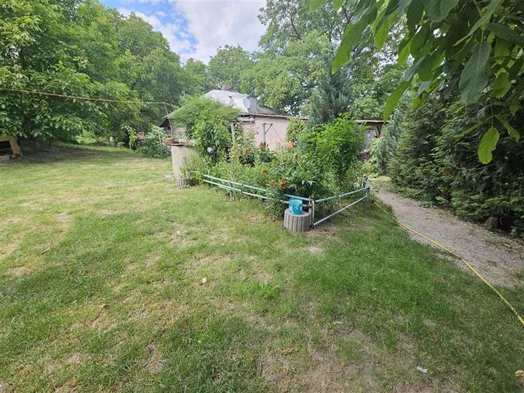 Casa spatioasa de vanzare in centrul satului Racaciuni – teren generos, livada,