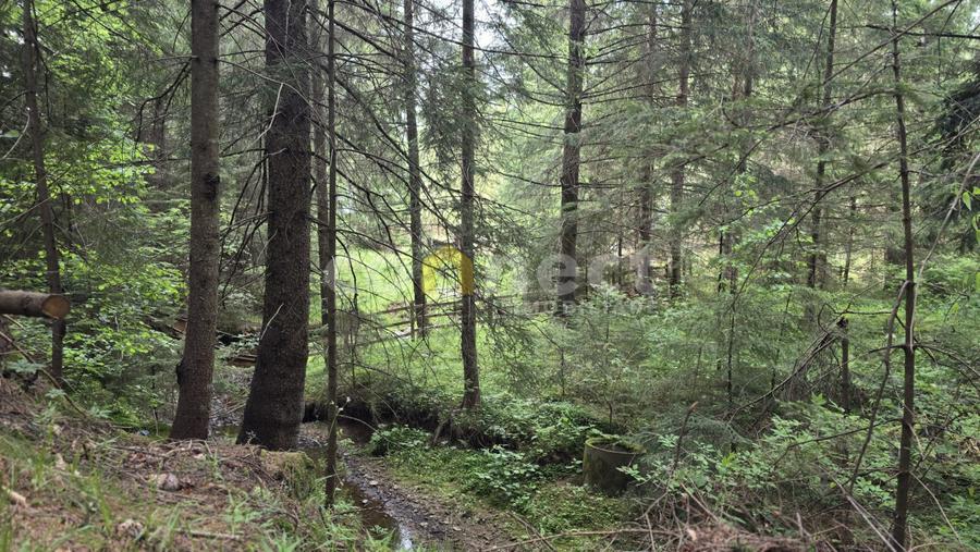 De vânzare casă de vacanță deosebită | Călățele Pădure – Dealu Negru, Cluj