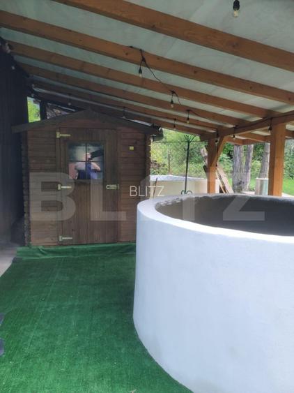 Casa de vanzare, 135 mp si 5 hectare de teren, langa Deva - 12