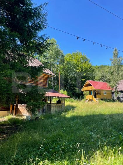 Cabana cu parau si brazi maturi, 1400mp, Valea Fericirii