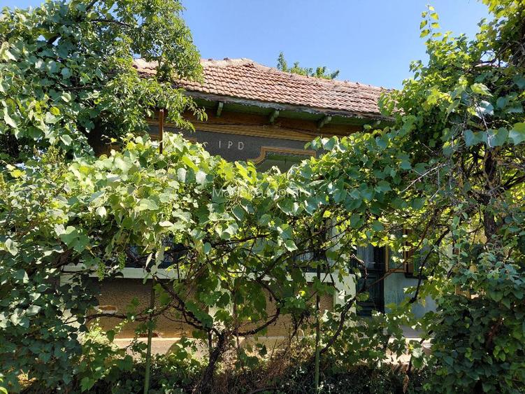 Vanzare casa si curte - 2