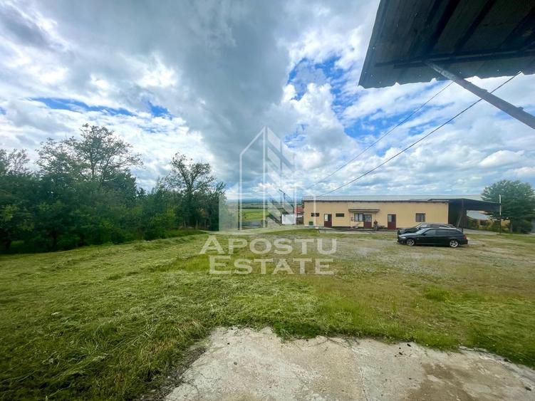 Spatii productie si depozitare, zona Sebis - Prunisor-Carand