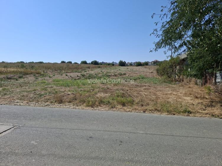 Teren intravilan 891 mp – Valea lui Traian, utilități, drum privat,zonă curată - 2