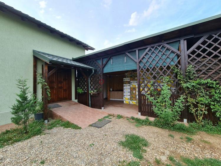 Vila + Afacere 15.000mp Clinceni