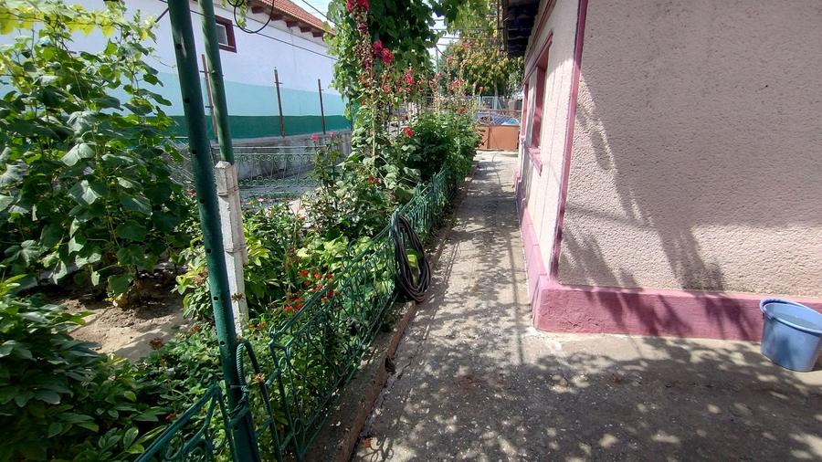 Teren pentru casă verde langa promenada din Ovidiu