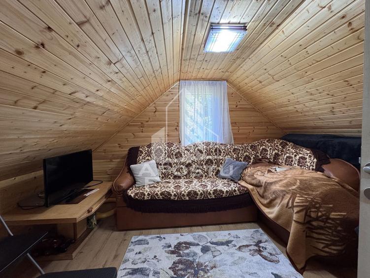Casa din lemn, zona muntoasa, cu rau, la cheie, Ribita, Hunedoara