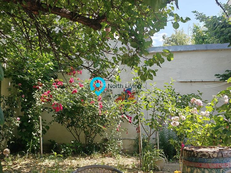 Proprietate rară în Popa Nan – 3 camere | Curte | Gradina - 24