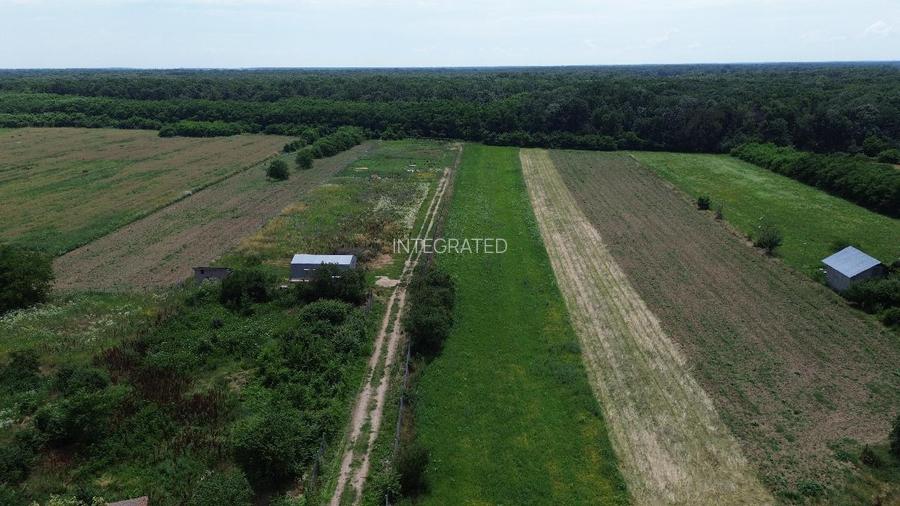 Snagov, Gruiu, Teren Intravilan 8,300 mp, Strada Tobosari - 7