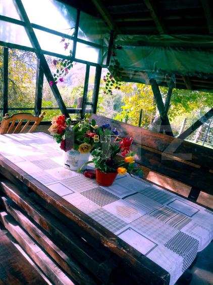 Proprietate cu piscină/ciubăr, zona Pietrari - 6