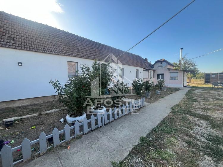 Casa individuala, Felnac