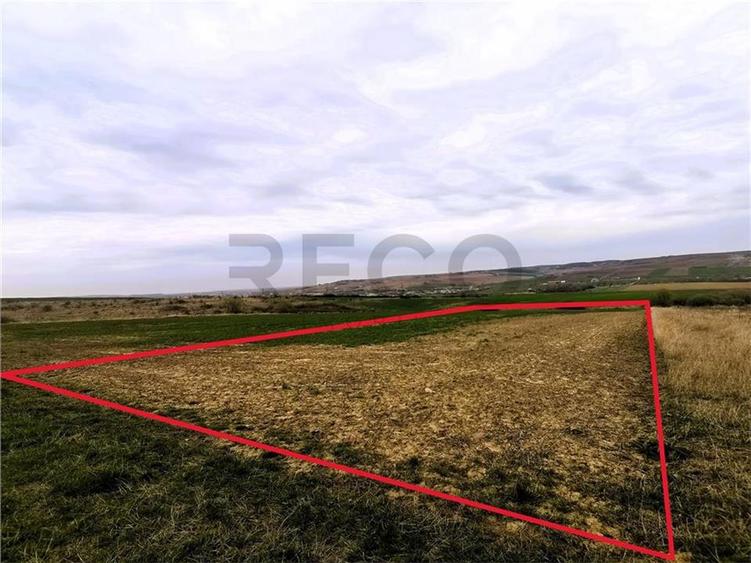 RECO Teren mare extravilan in Uileacu de Munte