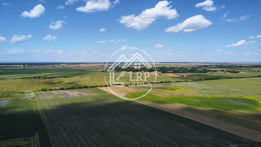 Teren Intravilan 9.918 mp Creața Dascălu, T66– Parcelabil