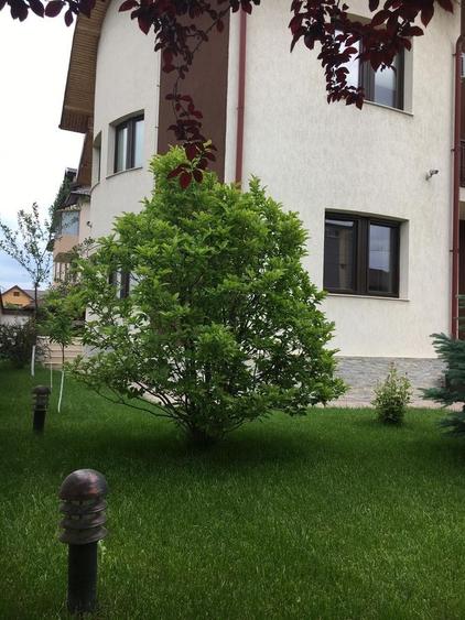 Bragadiru, vila individuala , 8 camere, piscina exterioara
