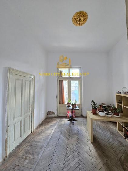 Vila - Ferdinand - Armeneasca -Pache Protopopescu