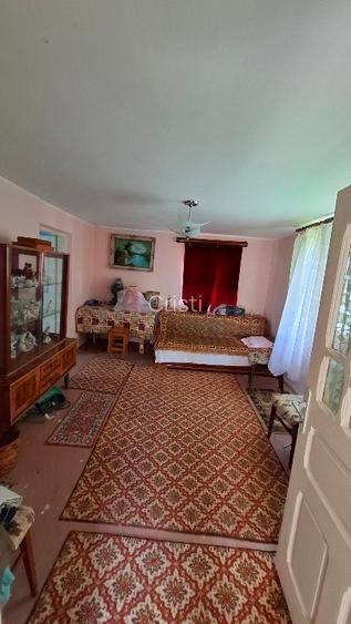 Casa Moraresti 3 camere și sau teren intravilan 9092 mp - 8
