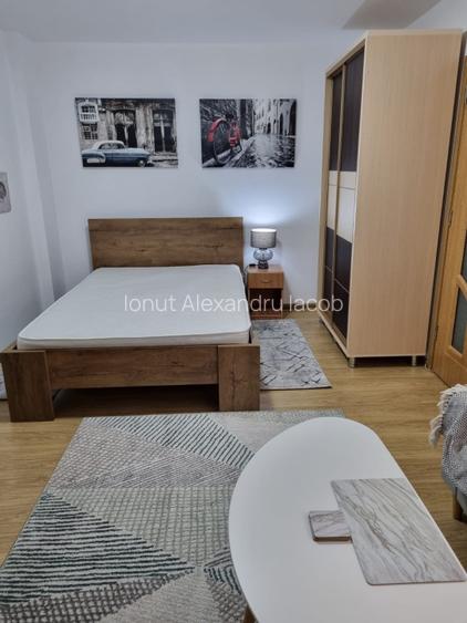 Apartament de inchiriat, 1 cam McDonalds Gara Iasi, 15 min UMF, UAIC, proprietar - 5