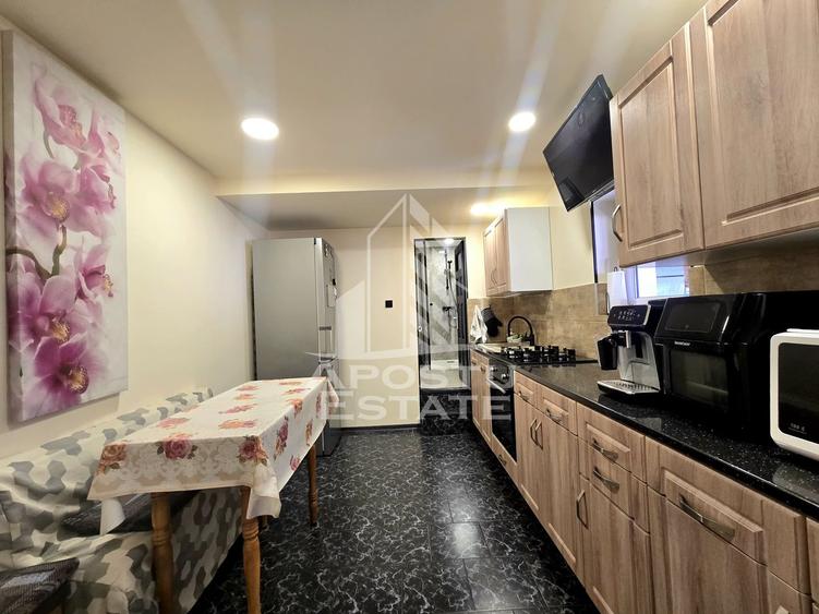 Casa individuala de vanzare, 4 camere, 2 garaje, Lipovei
