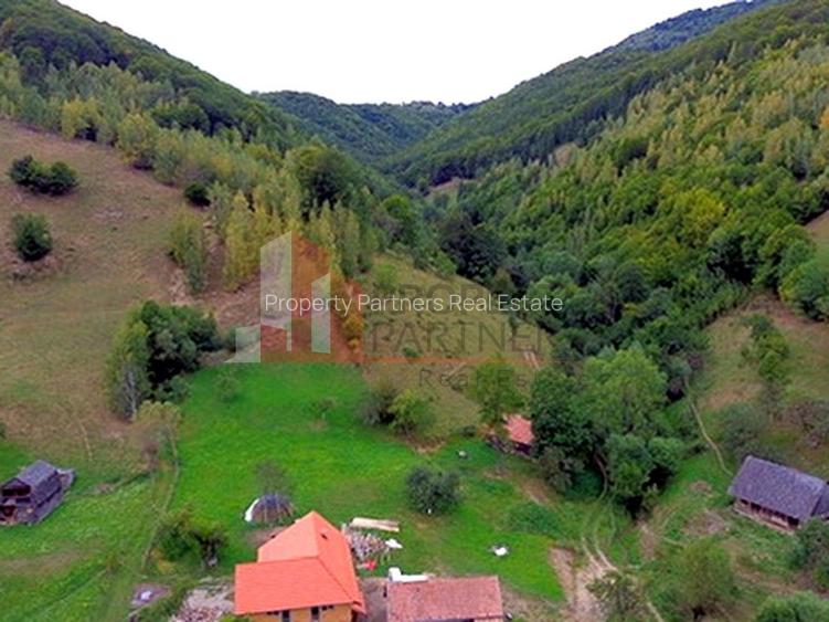 Teren de investiție în Moieciu, lângă Castelul Bran – 11.381 mp, vedere Bucegi - 12