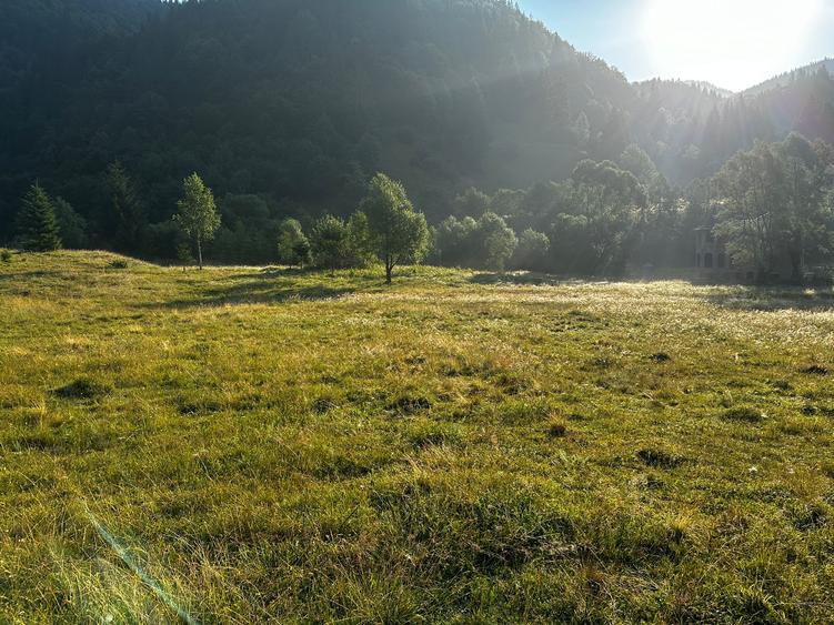 Rucar-Satic, teren intravilan de vanzare, loturi de la  1000 mp, peisaj de vis!
