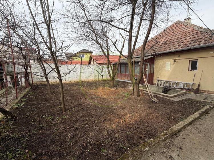 Casă 3 camere • Parter + Demisol înalt • Zona Trei Stejari