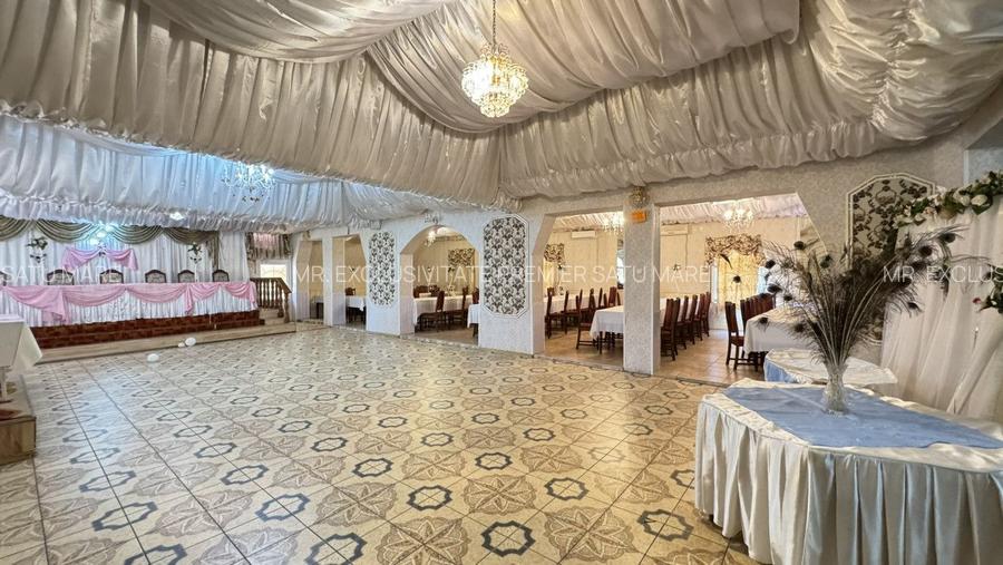 Spații de Inchiriat - Proprietate cu funcțiuni mixte – Str. Căplenilor Carei - 3