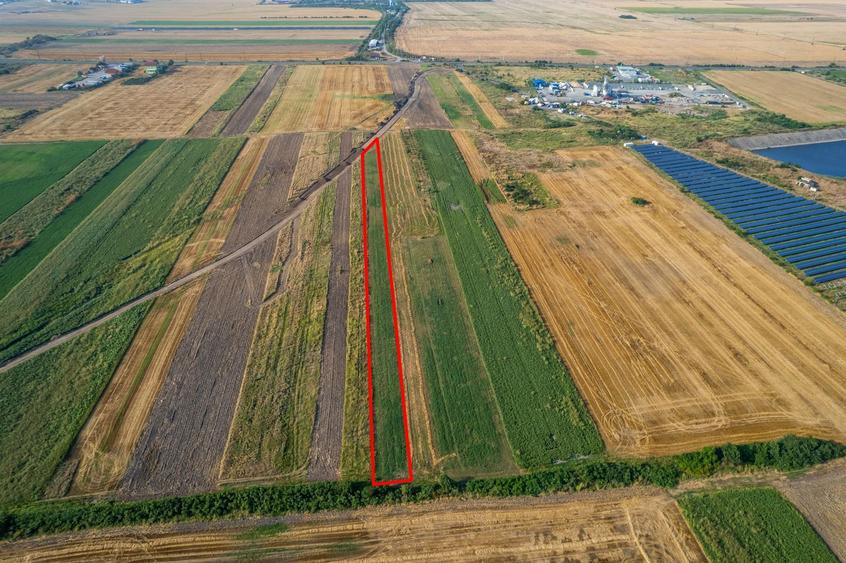 Teren 4.271 mp de vanzare în Vladimirescu