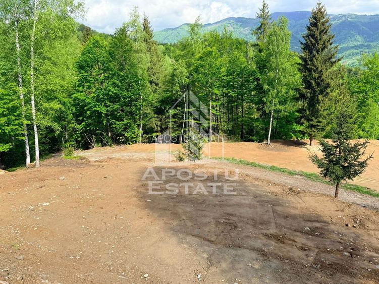 Oportunitate! Domeniu montan, cu lac propriu, oras Lupeni, Hunedoara - 30