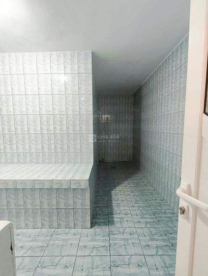 Copou, proprietate spatioasa de inchiriat, D+P+E, SAUNA