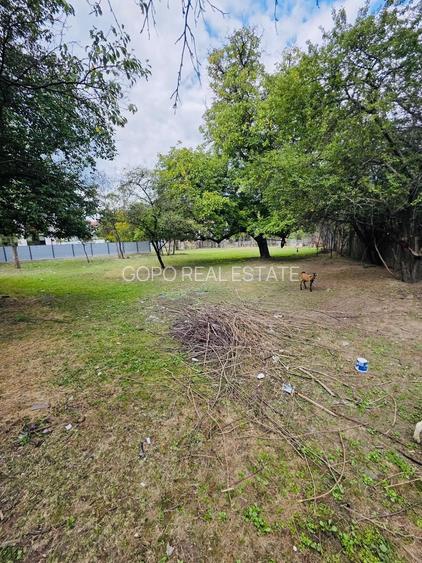 Casa cu teren intravilan 2.273 mp- pozitie centrala Darmanesti Bacau - 7
