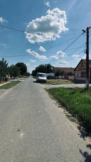 MT255 Teren intravilan 1.493 mp, Curti Constructii, Ianova-Remetea Mare