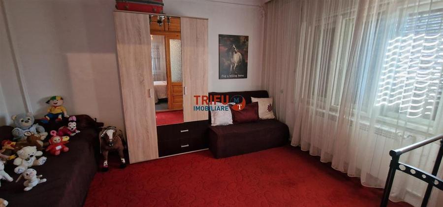 Casa 5 camere 743 mp teren Sebes