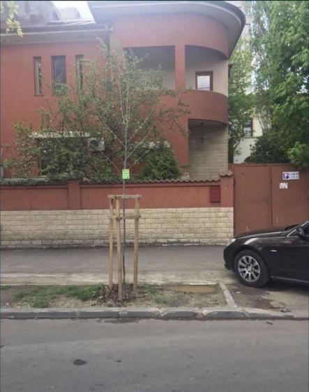 Vila cu personalitate - 6 camere in Cotroceni