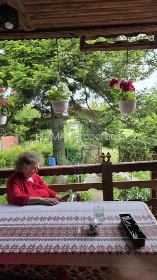 Domeniu rural, gospodarie/multifunctionala cu casa, livada, vie - 29