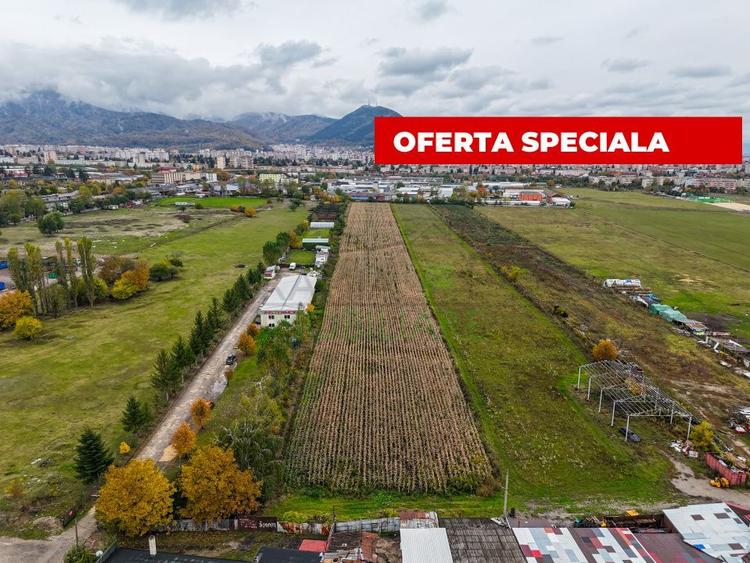 Teren industrial- Timișul Sec oportunitate investițională
