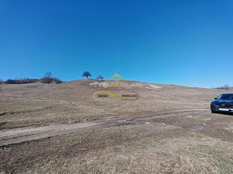 Vand teren intravilan Stejaru Bacau - 4